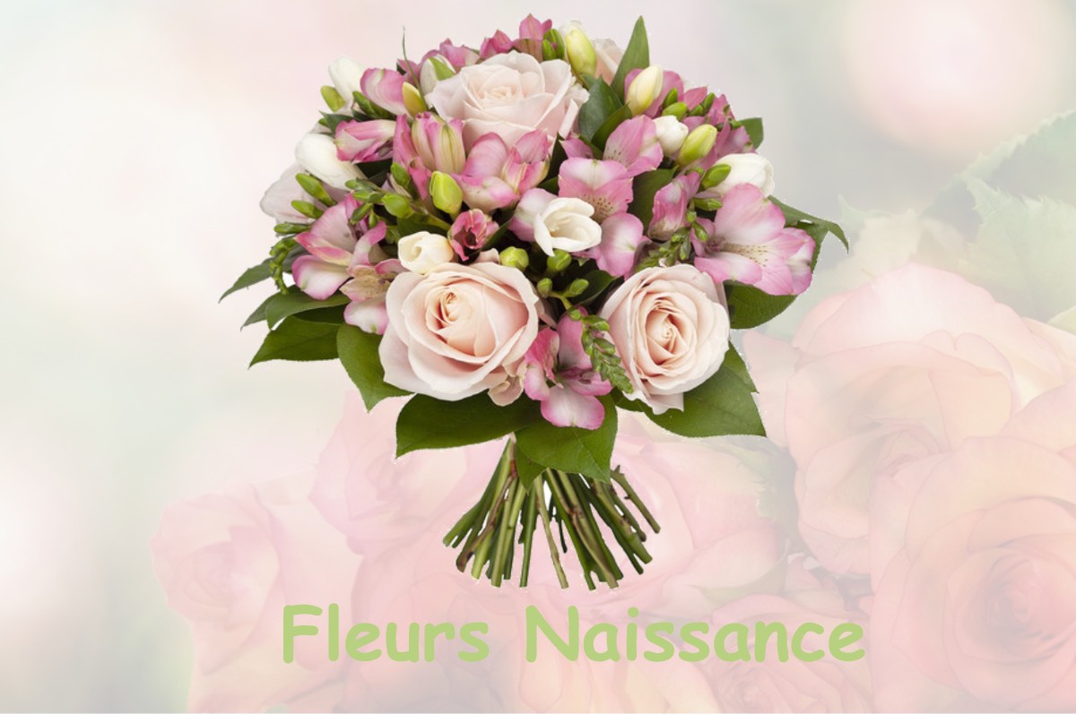 fleurs naissance SAINT-MARTIN-D-ABBAT