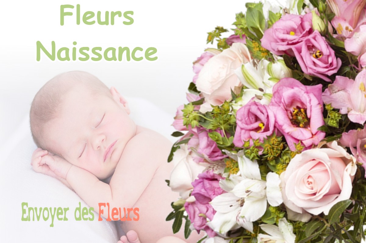 lIVRAISON FLEURS NAISSANCE à SAINT-MARTIN-D-ABBAT